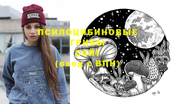 крисы Вязники