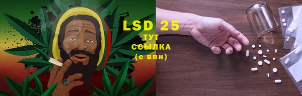 PSILOCYBIN Армянск
