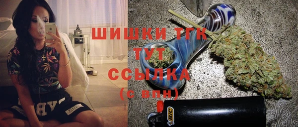 ГАЛЛЮЦИНОГЕННЫЕ ГРИБЫ Гусь-Хрустальный