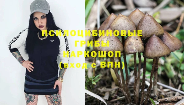 PSILOCYBIN Армянск