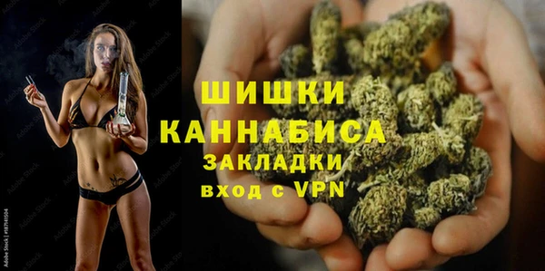 PSILOCYBIN Армянск