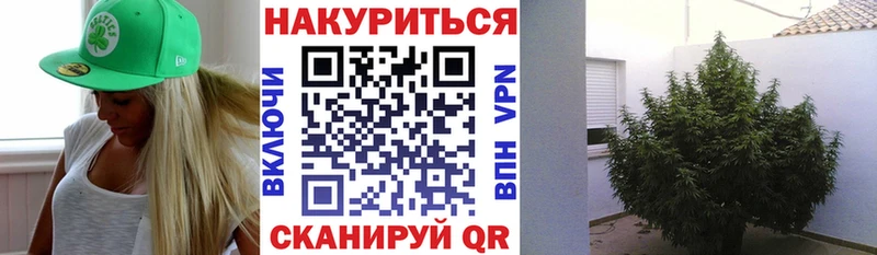 МАРИХУАНА конопля  Макаров 